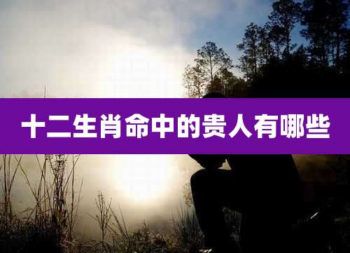 十二生肖命中的贵人有哪些