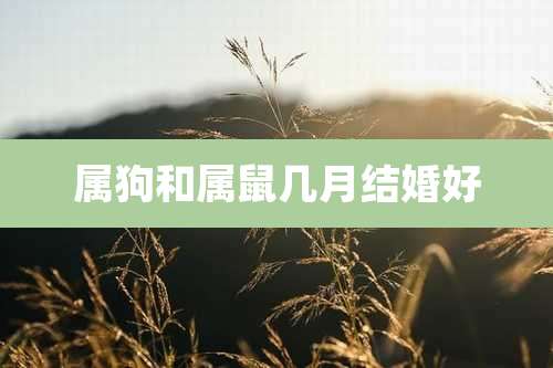 属狗和属鼠几月结婚好