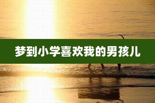 梦到小学喜欢我的男孩儿