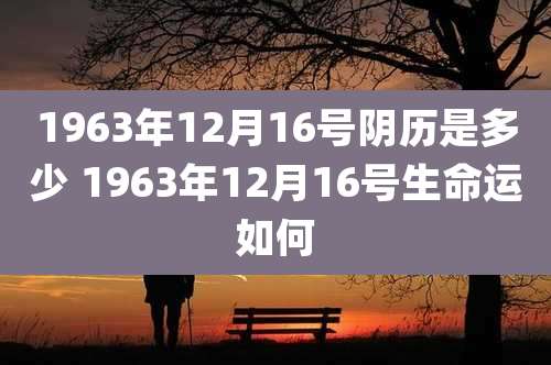 1963年12月16号阴历是多少 1963年12月16号生命运如何