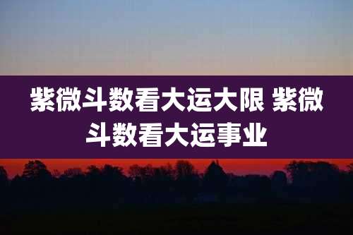 紫微斗数看大运大限 紫微斗数看大运事业