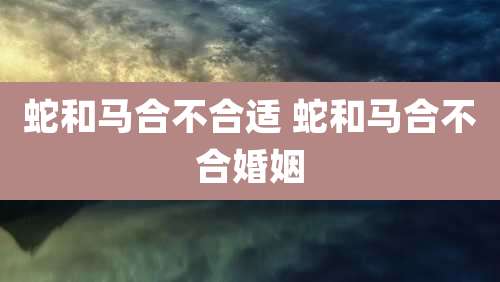 蛇和马合不合适 蛇和马合不合婚姻