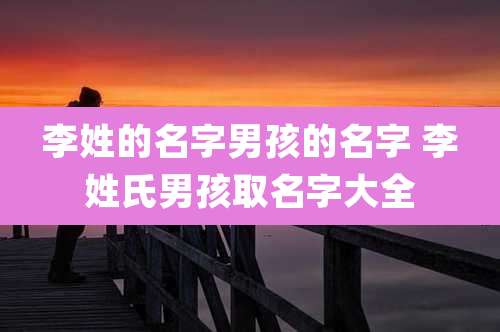 李姓的名字男孩的名字 李姓氏男孩取名字大全