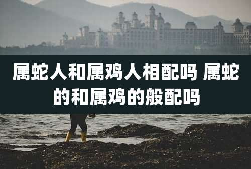 属蛇人和属鸡人相配吗 属蛇的和属鸡的般配吗