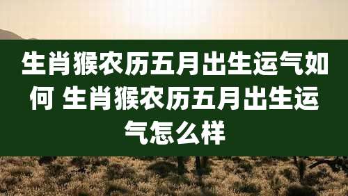 生肖猴农历五月出生运气如何 生肖猴农历五月出生运气怎么样