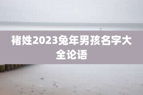 褚姓2023兔年男孩名字大全论语