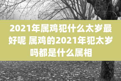 2021年属鸡犯什么太岁最好呢 属鸡的2021年犯太岁吗都是什么属相