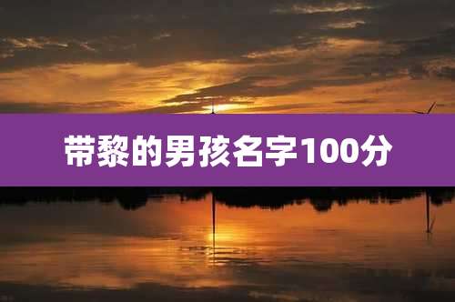 带黎的男孩名字100分