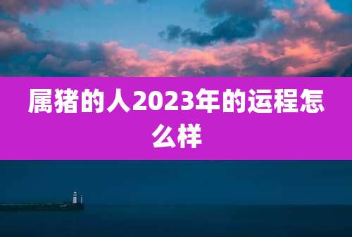 属猪的人2023年的运程怎么样