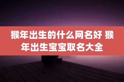 猴年出生的什么网名好 猴年出生宝宝取名大全