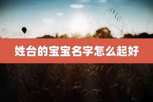 姓台的宝宝名字怎么起好