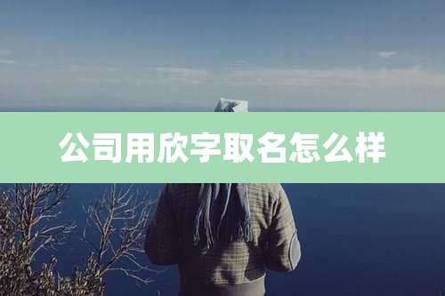 公司用欣字取名怎么样