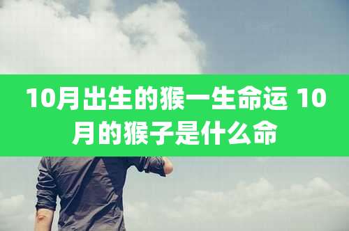 10月出生的猴一生命运 10月的猴子是什么命