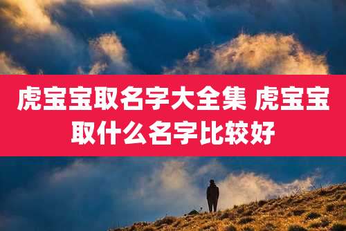 虎宝宝取名字大全集 虎宝宝取什么名字比较好