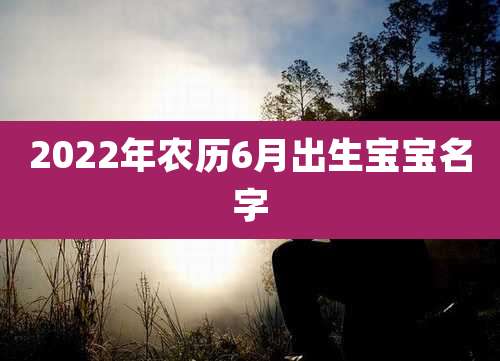 2022年农历6月出生宝宝名字
