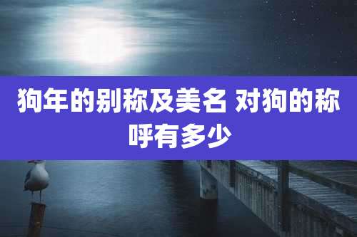 狗年的别称及美名 对狗的称呼有多少