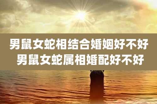 男鼠女蛇相结合婚姻好不好 男鼠女蛇属相婚配好不好