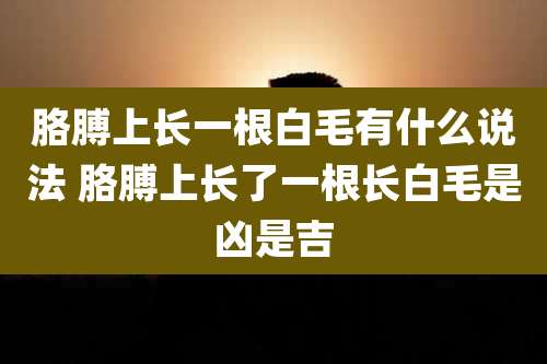 胳膊上长一根白毛有什么说法 胳膊上长了一根长白毛是凶是吉