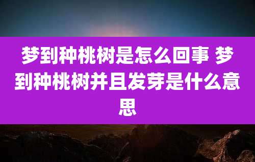 梦到种桃树是怎么回事 梦到种桃树并且发芽是什么意思