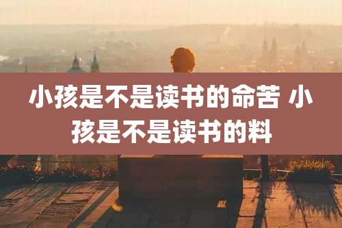 小孩是不是读书的命苦 小孩是不是读书的料