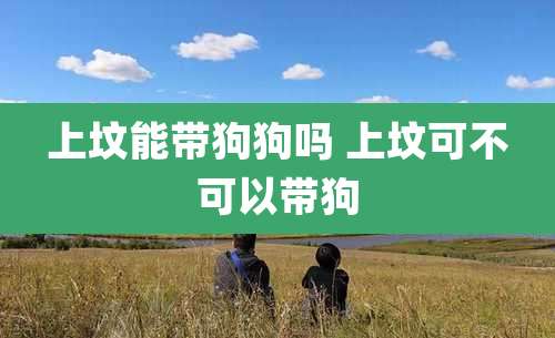上坟能带狗狗吗 上坟可不可以带狗