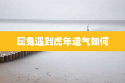 属兔遇到虎年运气如何