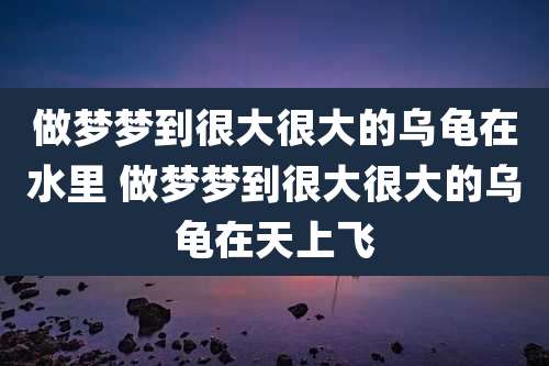 做梦梦到很大很大的乌龟在水里 做梦梦到很大很大的乌龟在天上飞