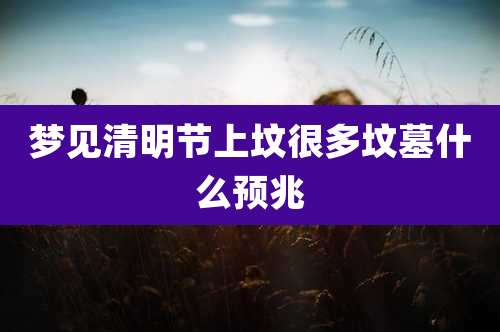 梦见清明节上坟很多坟墓什么预兆