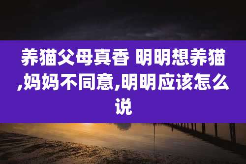 养猫父母真香 明明想养猫,妈妈不同意,明明应该怎么说