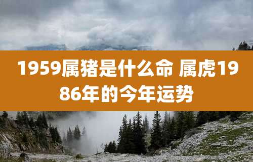 1959属猪是什么命 属虎1986年的今年运势