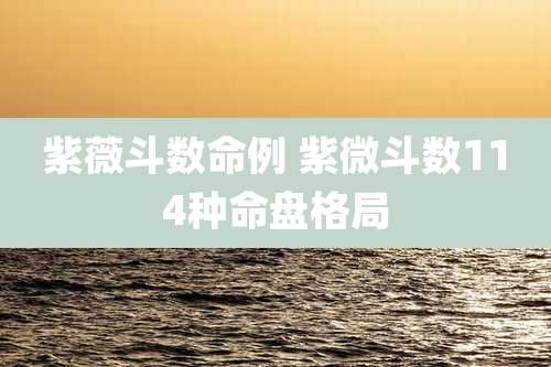 紫薇斗数命例 紫微斗数114种命盘格局
