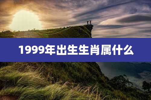 1999年出生生肖属什么