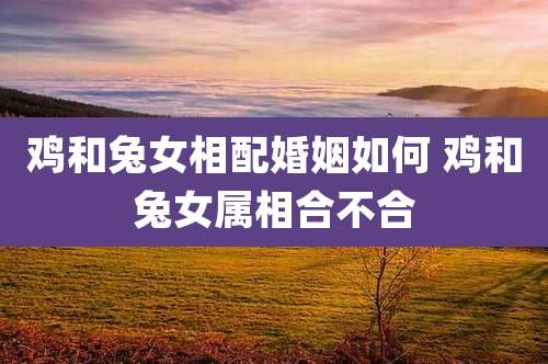 鸡和兔女相配婚姻如何 鸡和兔女属相合不合