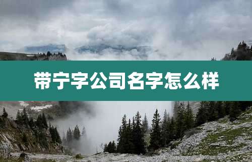 带宁字公司名字怎么样