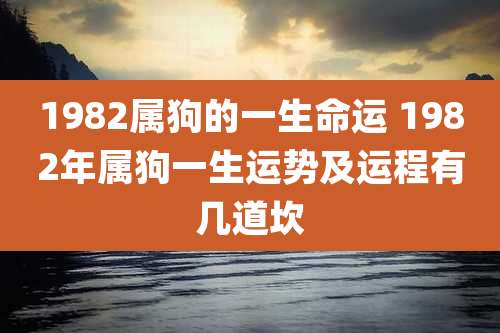 1982属狗的一生命运 1982年属狗一生运势及运程有几道坎