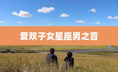爱双子女星座男之首