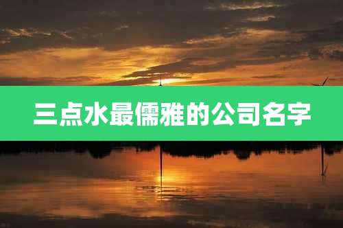 三点水最儒雅的公司名字