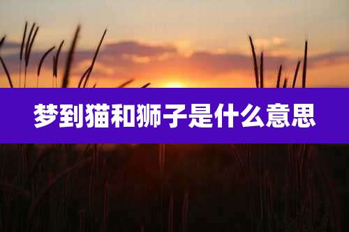 梦到猫和狮子是什么意思