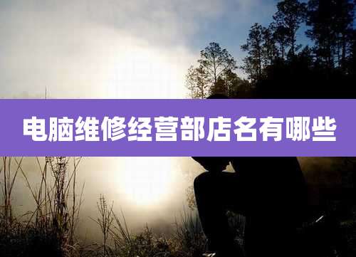 电脑维修经营部店名有哪些