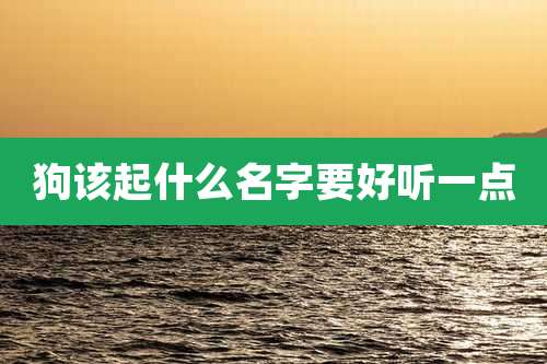狗该起什么名字要好听一点