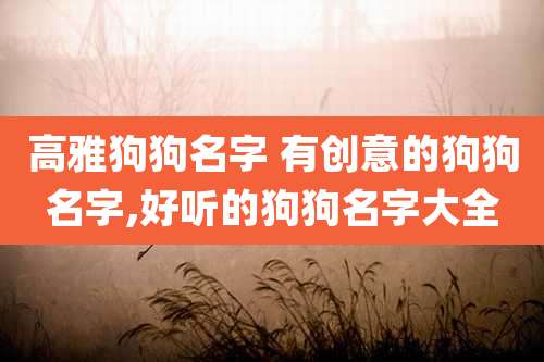 高雅狗狗名字 有创意的狗狗名字,好听的狗狗名字大全