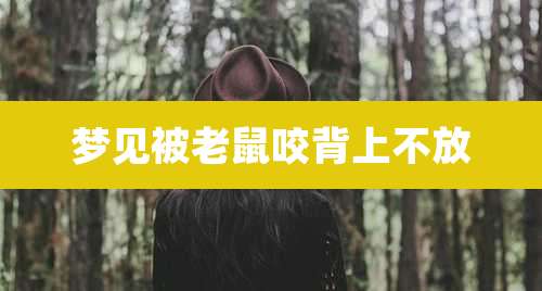 梦见被老鼠咬背上不放