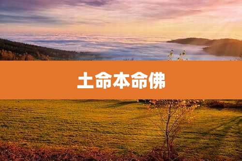 土命本命佛