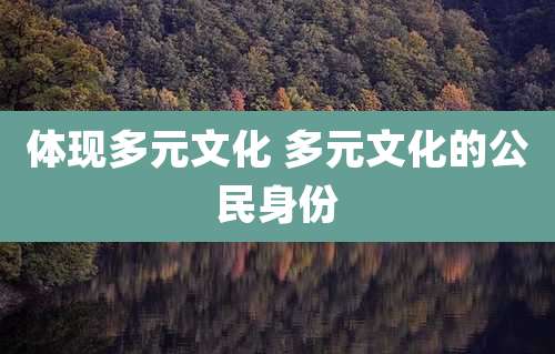 体现多元文化 多元文化的公民身份