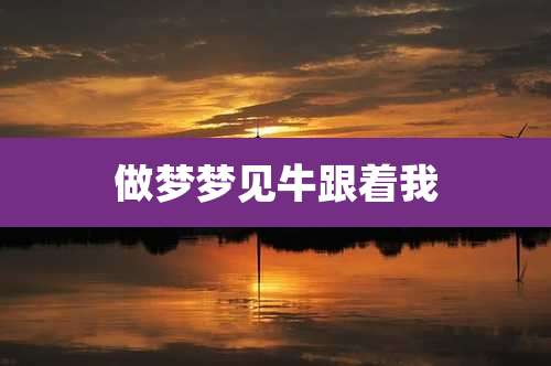 做梦梦见牛跟着我