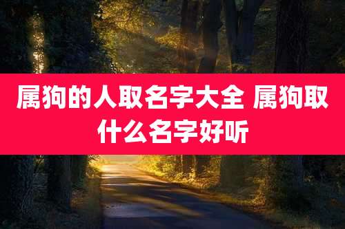 属狗的人取名字大全 属狗取什么名字好听