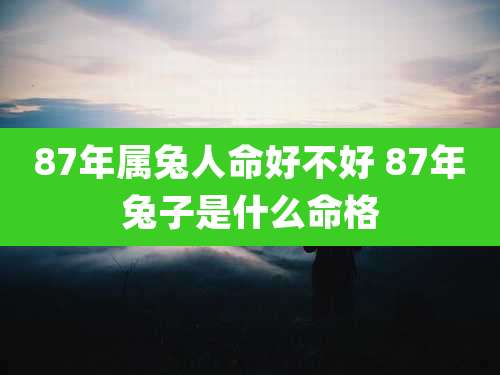 87年属兔人命好不好 87年兔子是什么命格