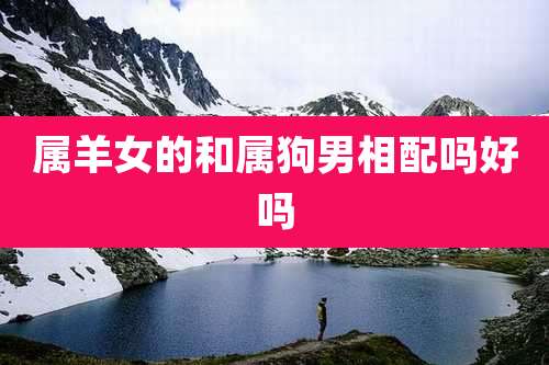 属羊女的和属狗男相配吗好吗