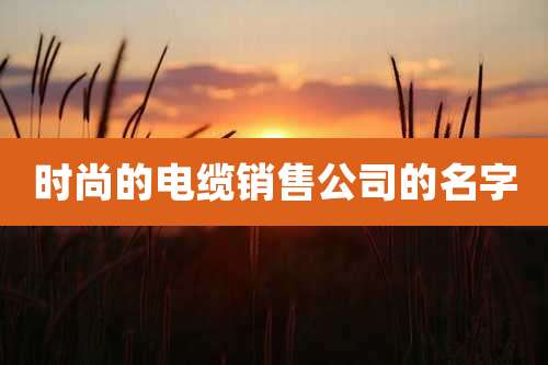 时尚的电缆销售公司的名字