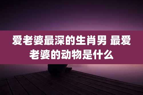 爱老婆最深的生肖男 最爱老婆的动物是什么